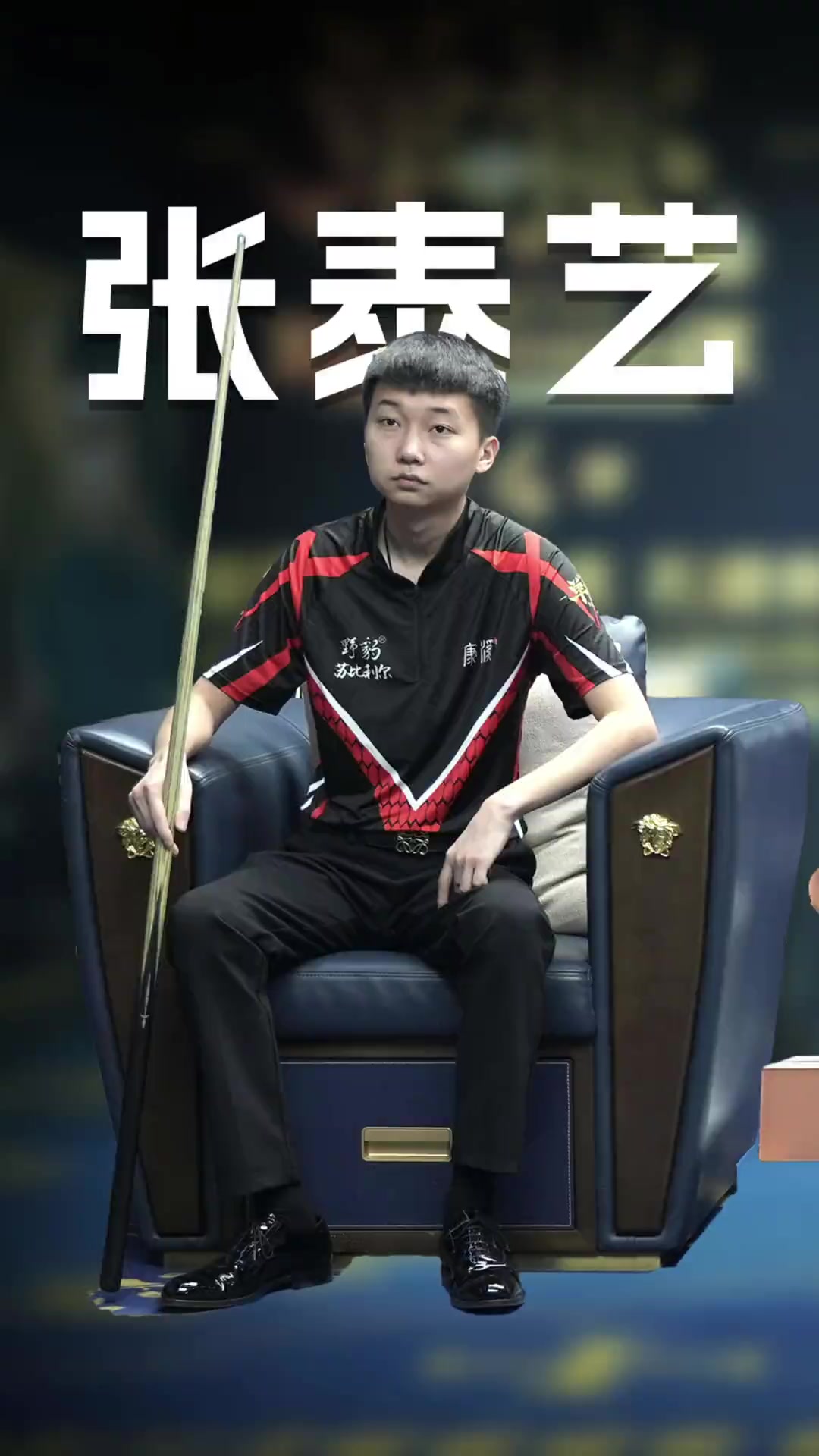 有保护力的 有保护力的